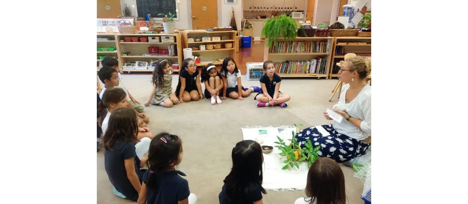 What Is Montessori Peace Education? 3 Key Principles Of Montessori Peace Education
