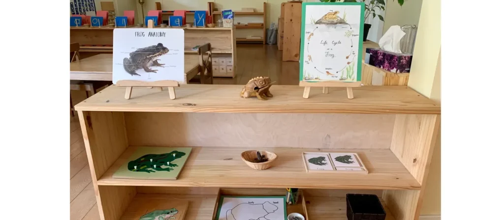 Why Does Montessori Not Use Plastic? 3 Connection to Nature and the Real World Montessori