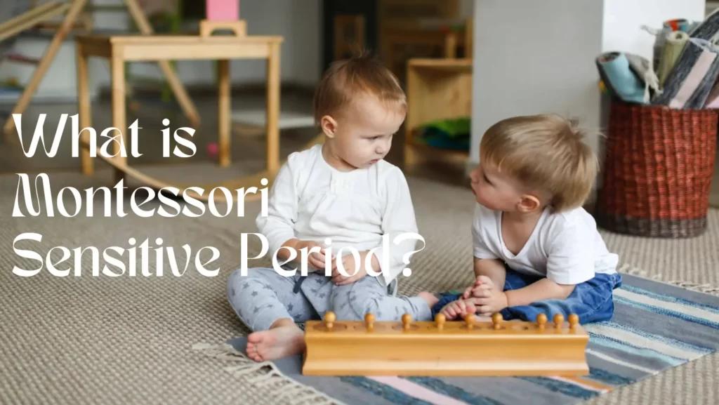 What is Montessori Sensitive Period