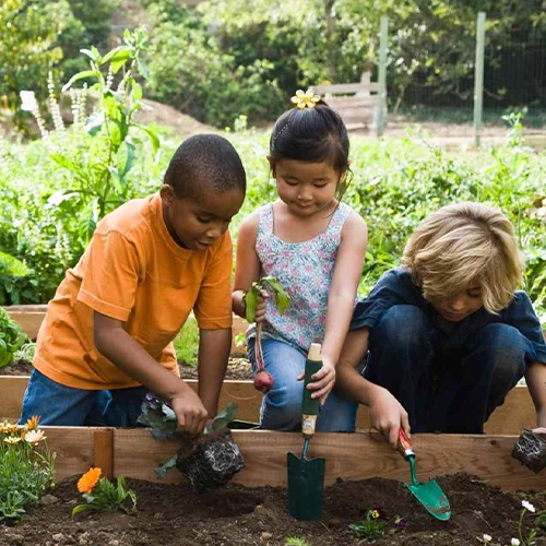 Gardening Activities for Preschoolers