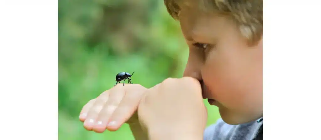 Use magnifying glasses to observe insects in their natural habitat.