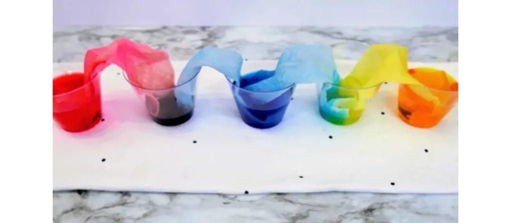 Fill several small cups with water and add different food coloring to each. Place a strip of paper towel with one end in each cup.