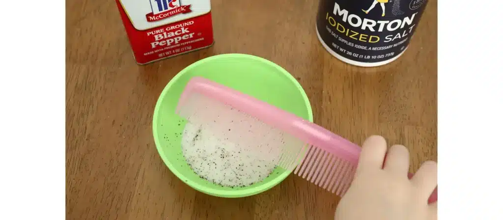 Teach static electricity using a comb and small pieces of tissue paper. Have children rub the comb on their hair to create static