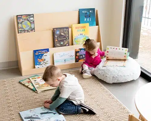 Wooden Bookshelves