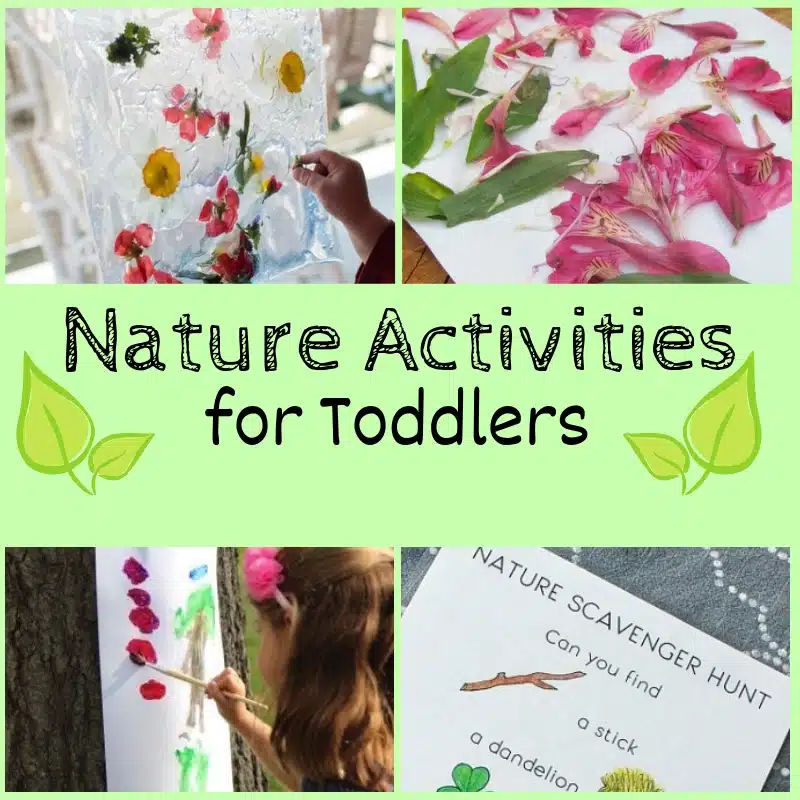 Preschool Lesson plan Nature