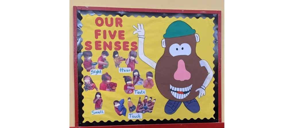 Five Senses Bulletin Board