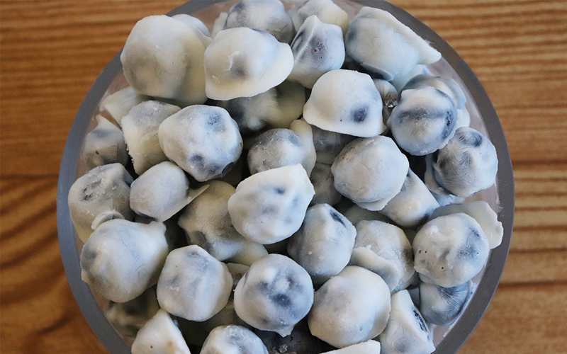 Frozen Yogurt Blueberry Bites