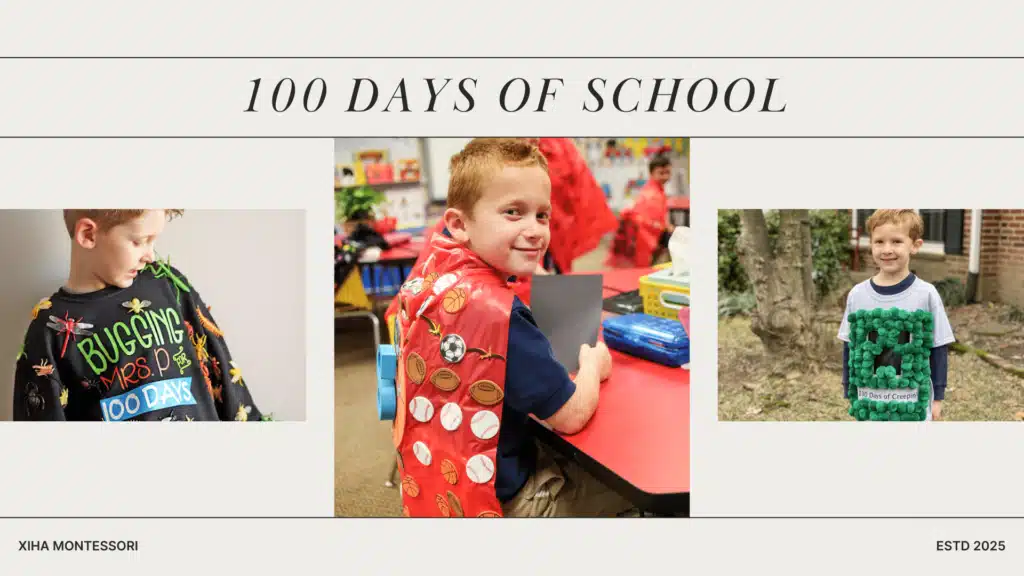 Why Celebrate 100 Days of School