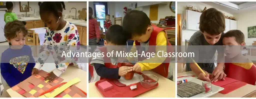 Advantages of Mixed Age Classroom