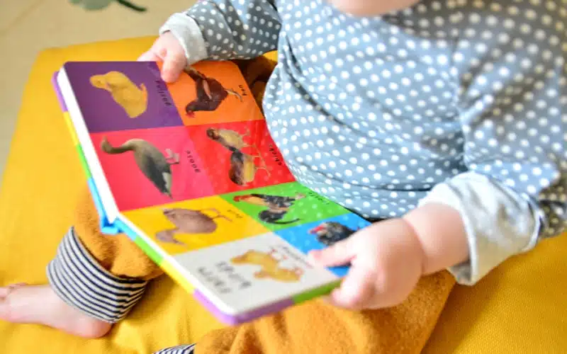 Board Books