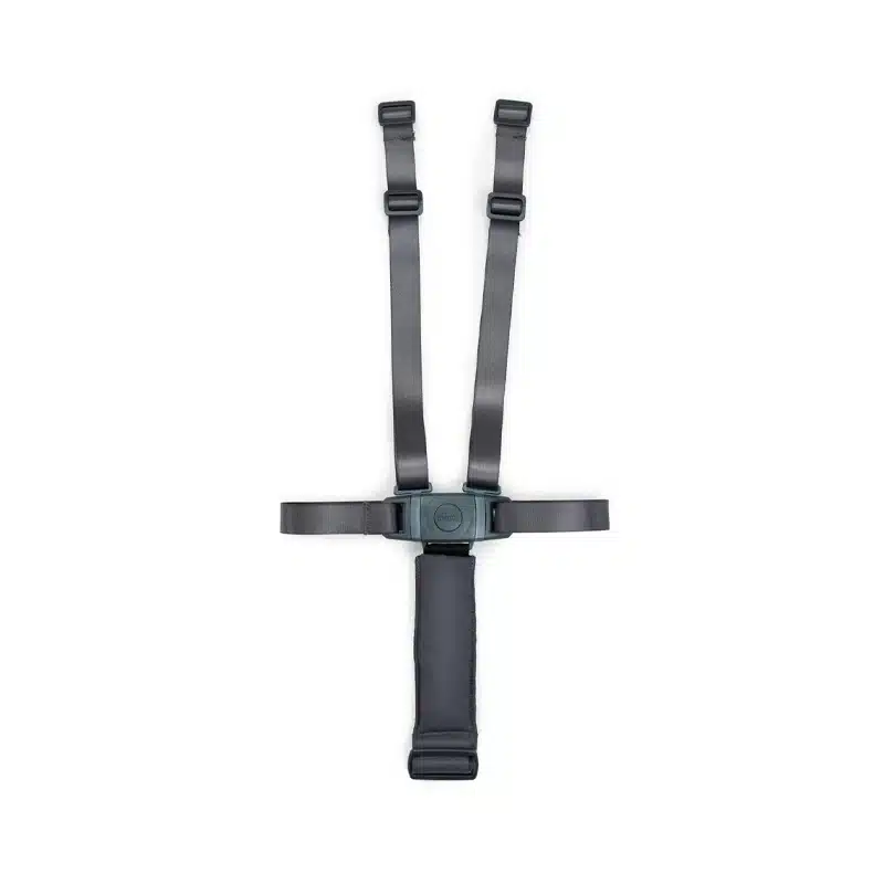 Harness Systems