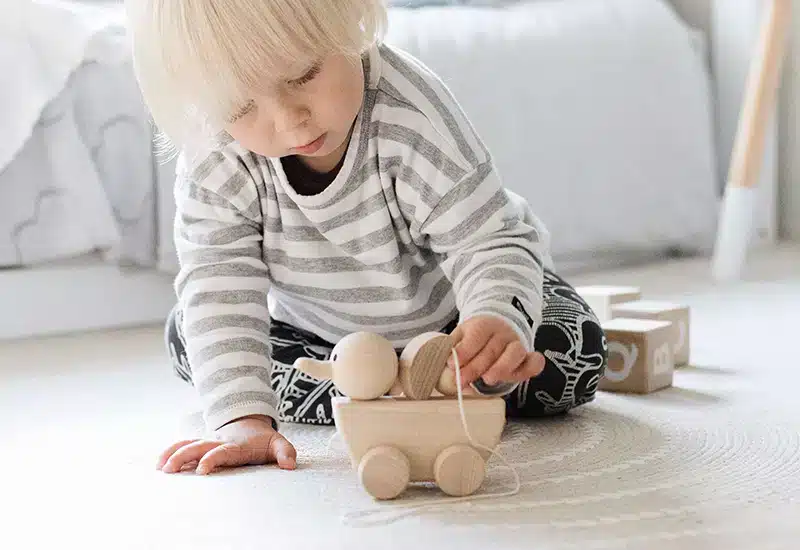 Montessori wooden duck toy