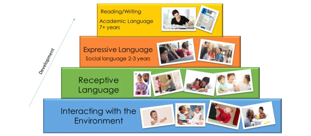 Receptive and Expressive Language Developmental Sequence