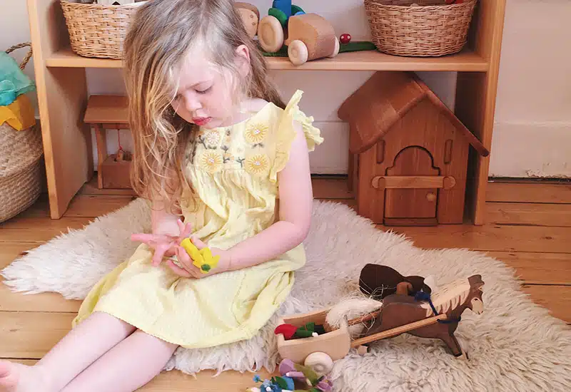 Reggio Toys2