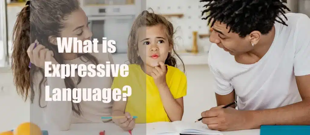 What is Expressive Language
