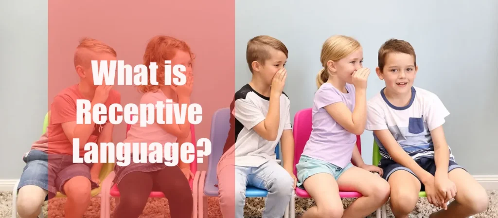 What is Receptive Language