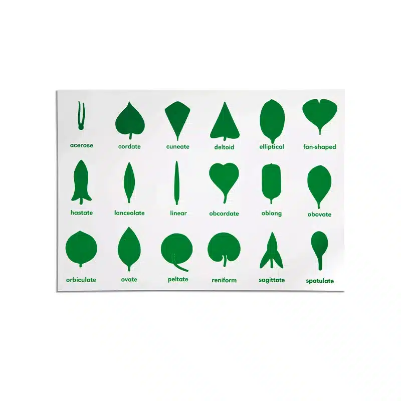 Botany Cabinet Control Chart