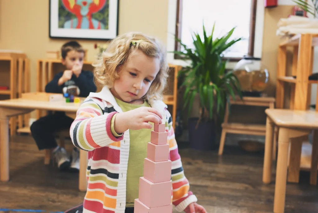 Montessori Sensitive Periods in Child Development 6 Small Objects 1 to 3