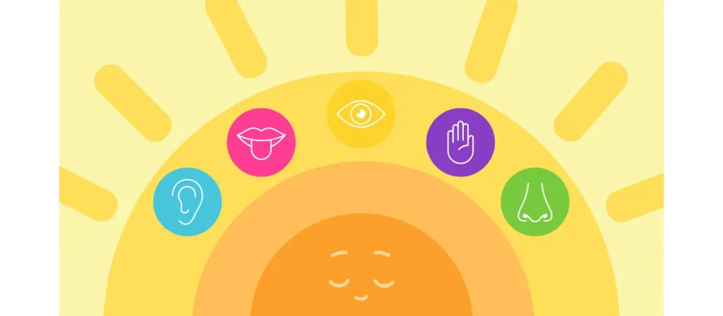 Theoretical Frameworks Supporting Multisensory Approaches
