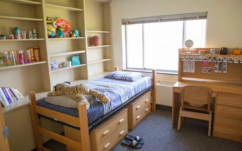 School Dormitory Beds