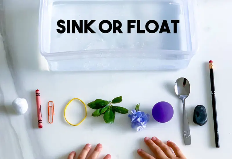 Sink or Float Lab