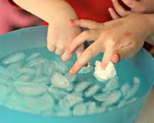 Arctic Animal Blubber Experiment 1